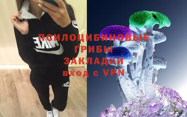 СК Алзамай