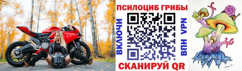 Псилоцибиновые грибы прущие грибы  Чкаловск 